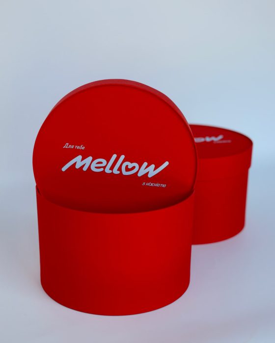 Photo 2025 09 08 14 04 29 (2)