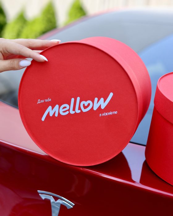 Photo 2025 09 08 14 04 30