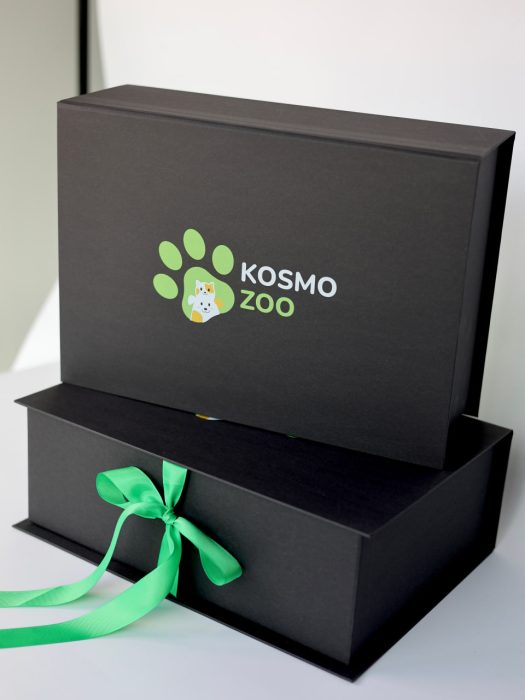 Photo 2025 11 19 11 55 57