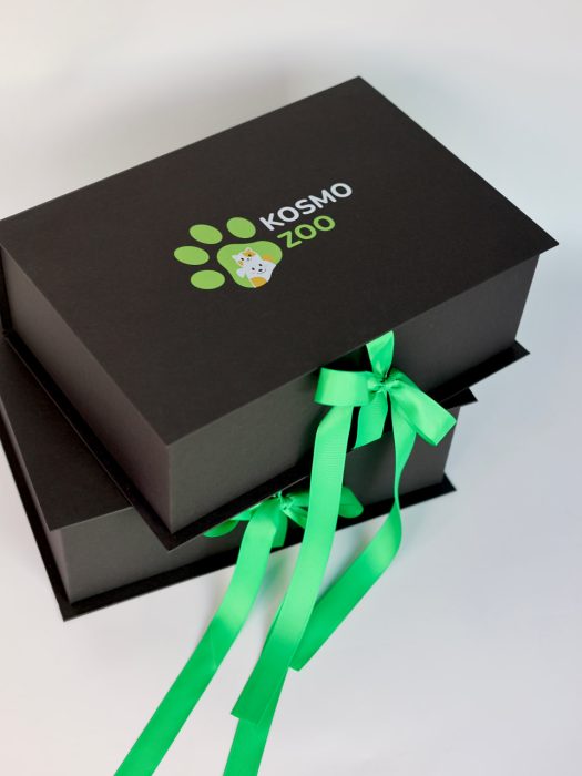 Photo 2025 11 19 11 57 31